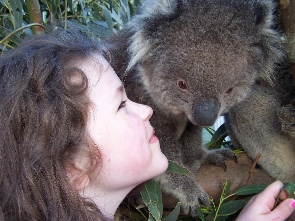 Fauna Australia Wildlife Retreat Lavers Hill Exterior photo