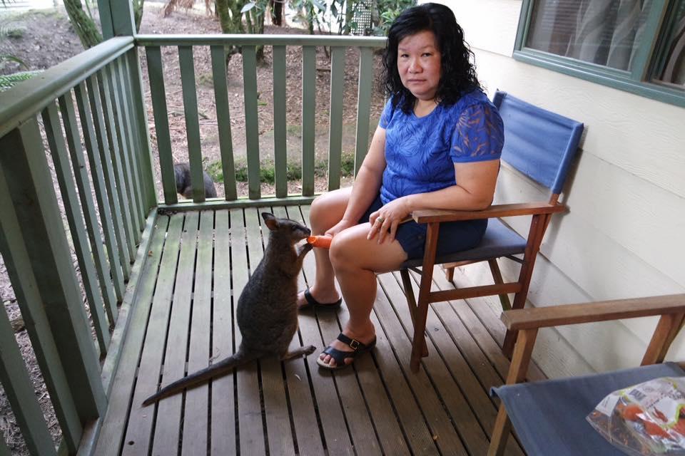 Fauna Australia Wildlife Retreat Lavers Hill Exterior photo