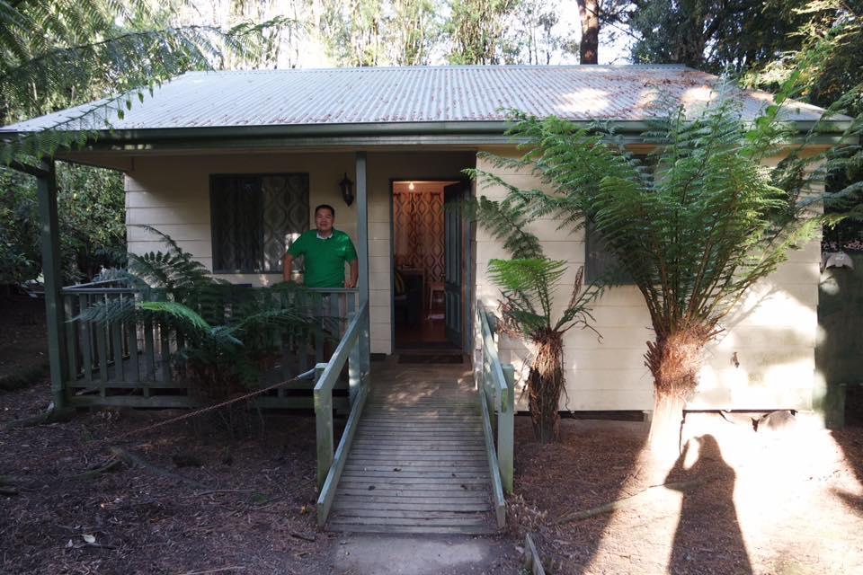Fauna Australia Wildlife Retreat Lavers Hill Exterior photo