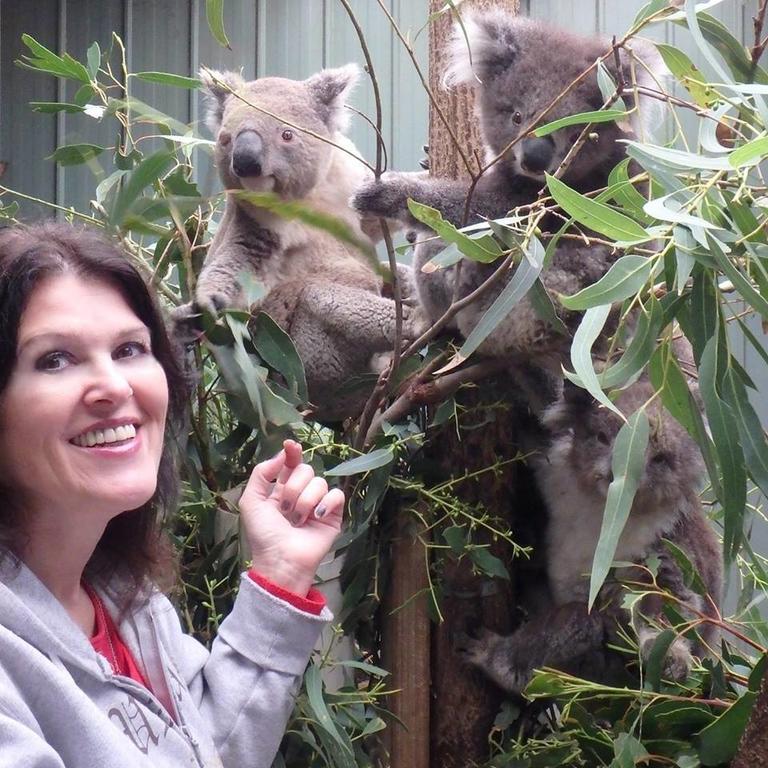 Fauna Australia Wildlife Retreat Lavers Hill Exterior photo