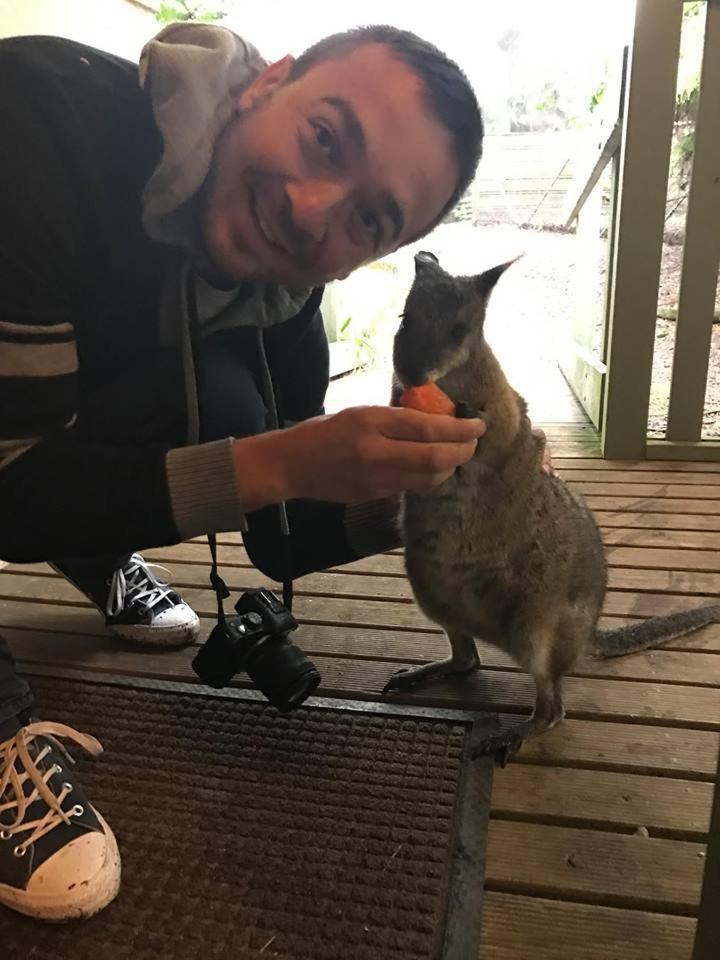 Fauna Australia Wildlife Retreat Lavers Hill Exterior photo
