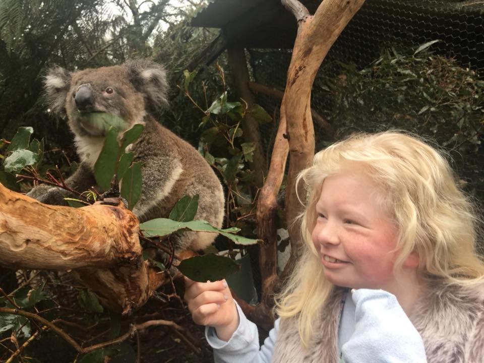 Fauna Australia Wildlife Retreat Lavers Hill Exterior photo